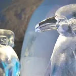 Daire Holidays - Residenz Chateau Saas Fee