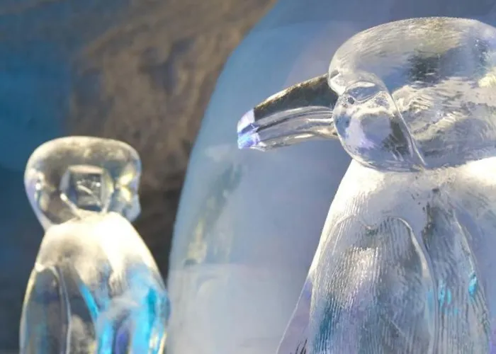 公寓 Holidays - Residenz Chateau 萨斯费