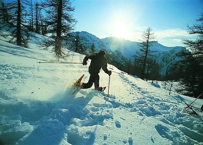 Holidays - Residenz Chateau 公寓 萨斯费